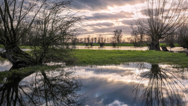 Wallpaper Trees, Free, 4k, Mobile, Cool, River, Landscape, Wallpaper, Phone, Background, Images, Desktop, Reflection, Nature