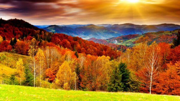 Wallpaper And, Mountains, Trees, Landscape, Desktop, Mobile, Nature, With, Sunrays, View, Autumn, Colorful, Leafed