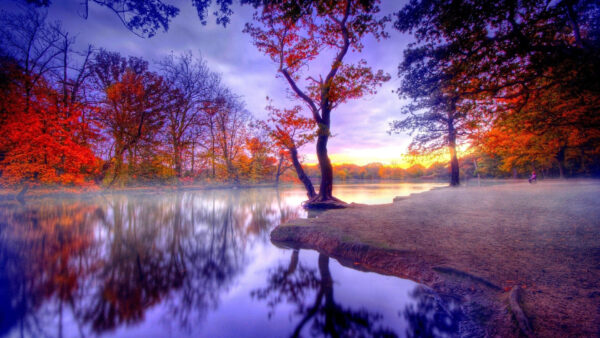 Wallpaper Trees, Water, Calm, Yellow, Reflection, During, Sunset, Nature, Red, Desktop, Body, Autumn