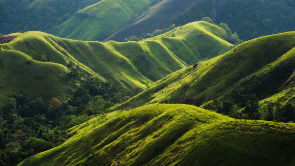 Wallpaper Greenery, Beautiful, Mobile, Mountains, Slope, Desktop, Nature