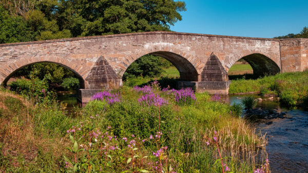 Wallpaper Bridge, With, Plants, And, Flowers, Arch, Nature, Desktop, River, Mobile