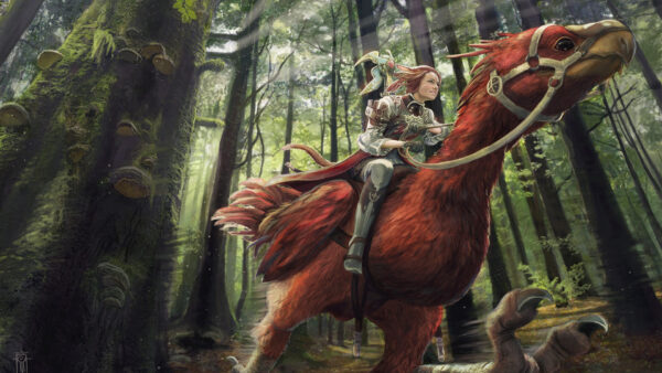 Wallpaper Games, Final, Girl, Riding, Fantasy, Chocobo, With, XIV, Trees, Desktop, Forest