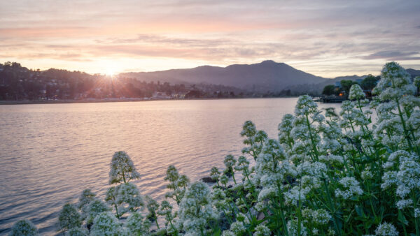 Wallpaper Background, Sky, White, Flowers, During, View, Mountain, And, Desktop, With, Sunset, Nature, Cloudy, Lake