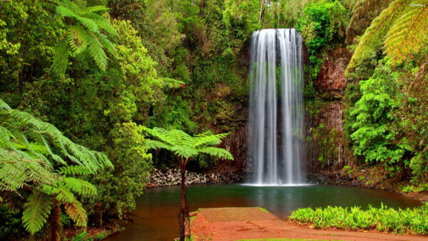Wallpaper Waterfalls, Trees, Bushes, Green, Mobile, Pouring, Fall, Desktop, Rocks, Plants, Lake, From