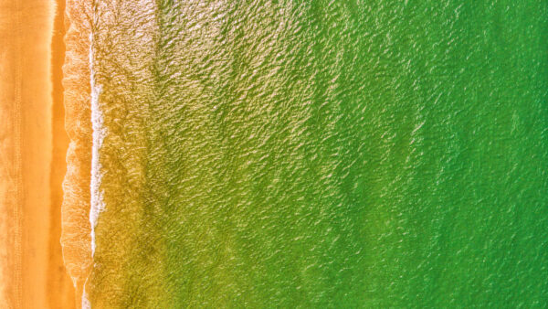 Wallpaper Nature, View, Waves, Aerial, Sand, Green, Beach, Water, Desktop, Mobile, Ocean