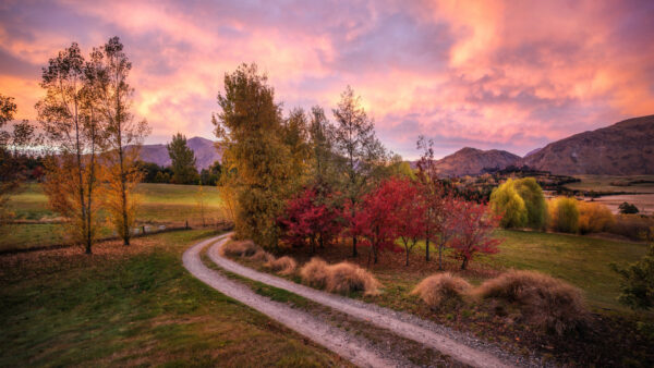 Wallpaper Sky, Under, View, Trees, Black, Mountains, Yellow, Leaves, Red, And, Between, Path, Green, Landscape, Nature, Clouds