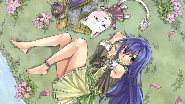 Wallpaper Desktop, Anime, Tail, Fairy