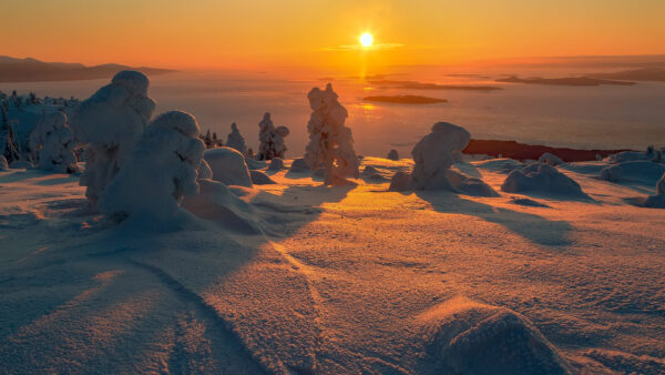 Wallpaper Snow, Sunrise, During, Nature, Field