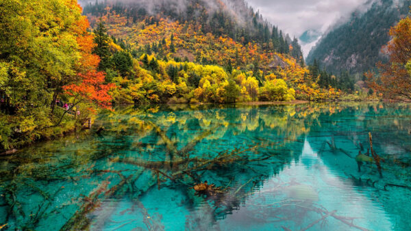 Wallpaper Mountain, Green, Trees, River, Autumn, Teal, Foggy, Colorful, Beautiful