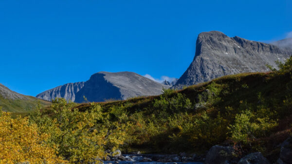 Wallpaper Yellow, Nature, Blue, Mountains, Flowers, Mobile, Green, Leaves, And, Plants, Sky, Background, Desktop