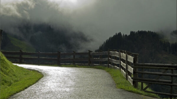 Wallpaper Rock, Road, Forest, Fence, And, Background, Covered, Grass, Between, Dark