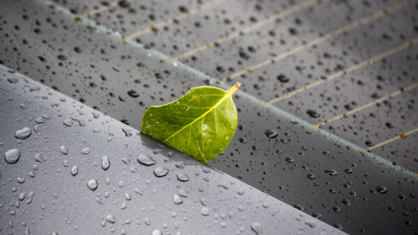 Wallpaper Mobile, Desktop, Green, Rain, Drops, Photography, Metal, Leaf