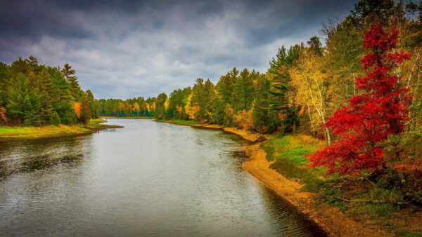 Wallpaper Under, Green, White, Trees, Yellow, Clouds, Between, Sky, Spruce, Blue, Fall, River, Red