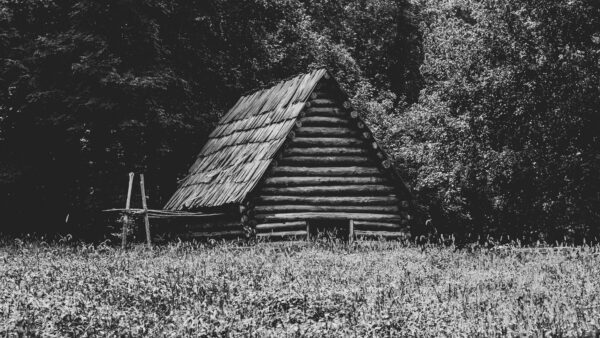 Wallpaper Wood, Forest, Background, Trees, White, Nature, Image, House, And, Black, Desktop, Mobile