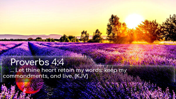 Wallpaper Retain, And, Heart, Bible, Keep, Verse, Words, Let, Thine, Commandments, Live