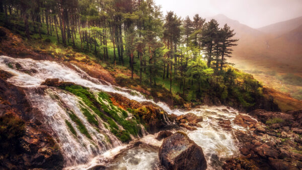 Wallpaper Nature, Stream, Green, Daytime, Waterfalls, Trees, During, Slope, Rocks