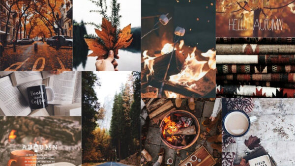 Wallpaper Books, Fall, Autumn, Trees, Cups, Leaves, Firewood, Collage