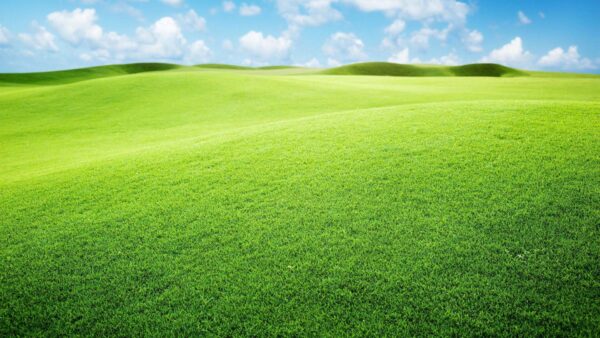 Wallpaper Grass, Nature, Blue, Sky, Field, Clouds, Background, Beautiful