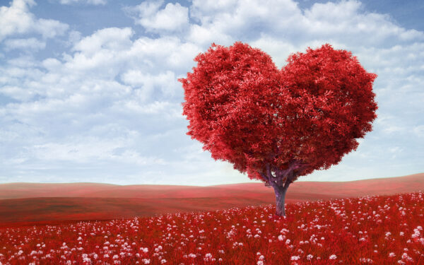 Wallpaper Tree, Love, Heart