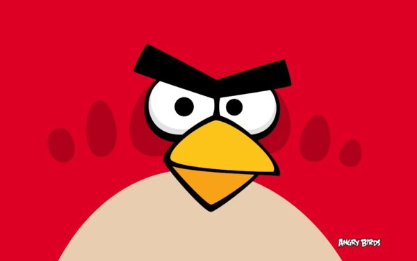 Wallpaper Birds, Angry