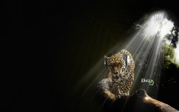 Wallpaper Jaguar, Audio, Jungle