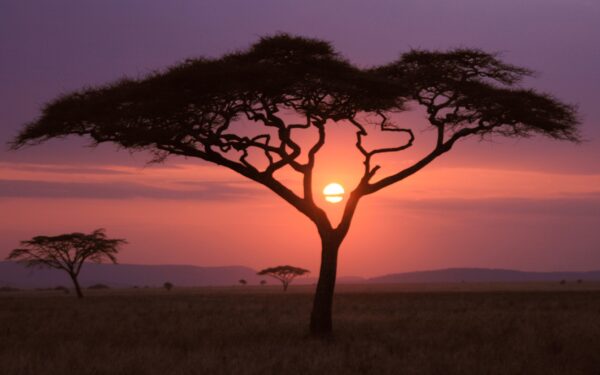 Wallpaper Sunset, African