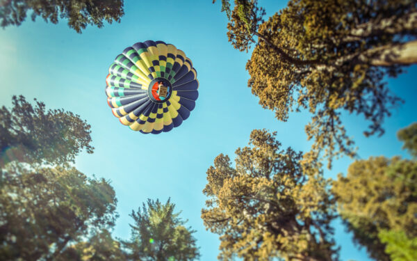 Wallpaper Forest, Blue, California, Ballon, Ride, Over