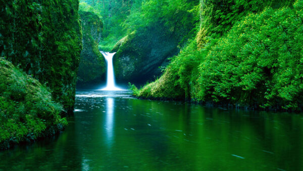 Wallpaper Waterfall, Greenery, Desktop, Nature