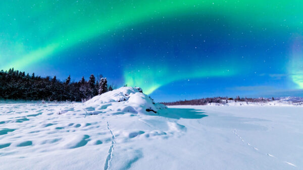 Wallpaper Nature, Background, Pc, Snow, Cool, Field, 1920×1080, Borealis, Wallpaper, 2560×1440, Desktop, Landscape, Covered, Images, Download, Free, Aurora