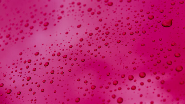 Wallpaper Pink, IPhone, Abstract, 4k, Background, Phone, Cool, Images, Desktop, Wallpaper, Drops, Mobile, Download, Surface, Free, Android