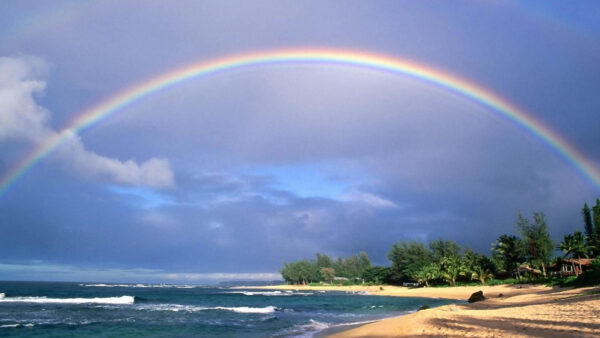 Wallpaper With, Desktop, Trees, Above, Rainbow, Sand, Beach