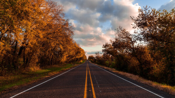 Wallpaper Nature, Sky, Road, Mobile, Trees, Between, Desktop, Cloudy, Under