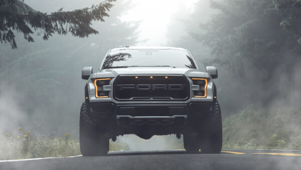 Wallpaper Vehicle, Background, Ford, With, Trees, Fog, Pickup, And, 150, Desktop, Raptor