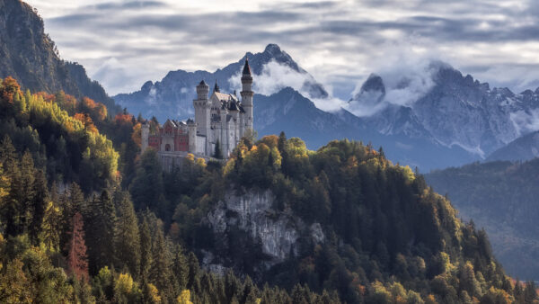 Wallpaper Covered, Germany, Travel, Desktop, Neuschwanstein, Surrounded, Trees, Green, Mountains, Castle