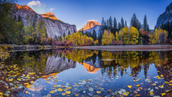 Wallpaper Reflection, Dry, Under, Leaves, Sand, Blue, Nature, Sky, Trees, Mountain, Lake