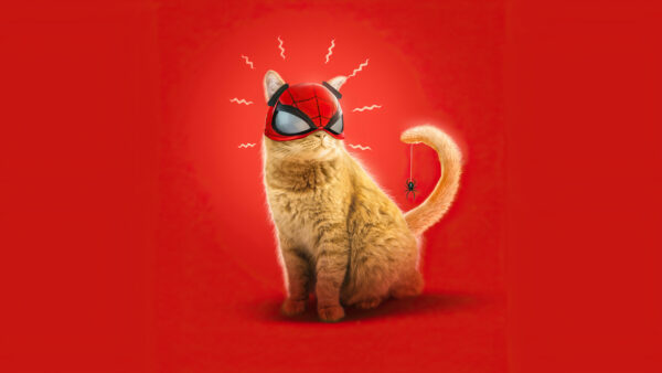 Wallpaper Mask, Morales, Cat, Spider-man, Miles, Marvel’s, Spider, Spider-Cat, Red