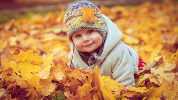 Wallpaper Boy, Yellow, Wearing, Leaves, Woolen, Little, Autumn, Sitting, Cute, Cap, Overcoat, And