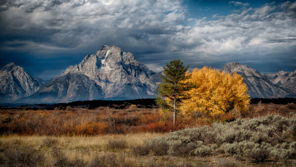 Wallpaper Scenery, Beautiful, Nature, View
