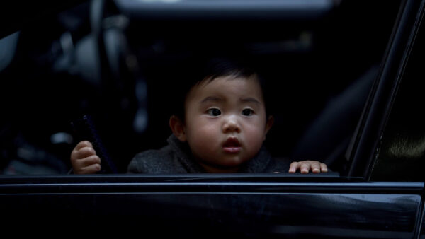 Wallpaper Door, Thru, Car, Little, Seeing, Cute, Boy, Desktop