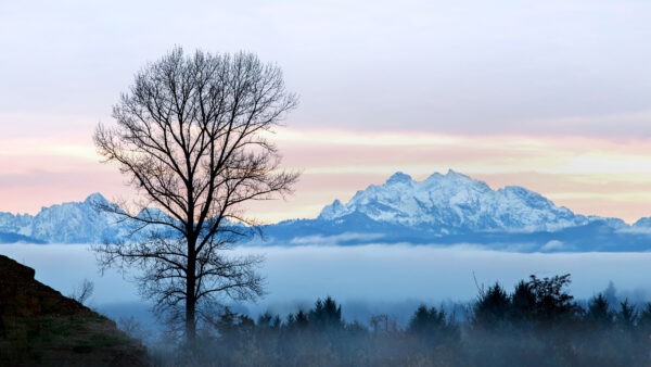 Wallpaper Covered, Snow, With, During, Landscape, Mountains, Trees, Mobile, Sunset, Forest, View, Fog, Desktop, Mountain