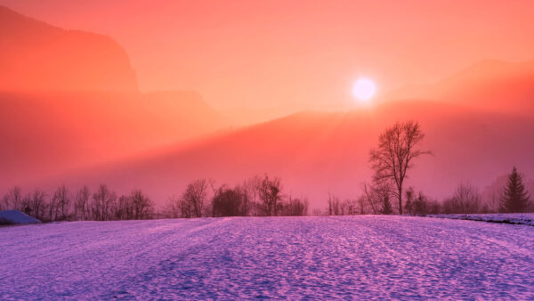 Wallpaper Trees, Field, Covered, Snow, Background, Sky, Fog, Under, Light, Scenery, Mountains, Nature, Sunrays, Red