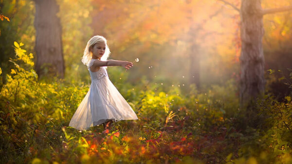 Wallpaper Little, Forest, Dandelion, Background, Autumn, Trees, Cute, Wearing, With, Girl, White, Standing, Dress