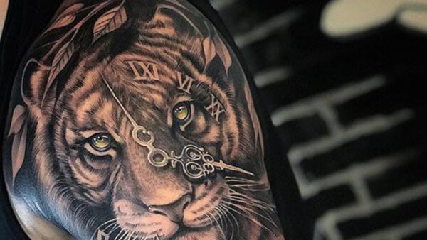 Wallpaper Shoulder, Lion, For, Tiger, Tattoo, Men