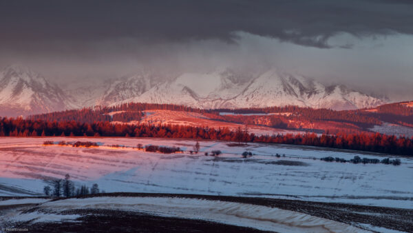 Wallpaper Winter, View, Black, Under, Mountains, White, Forest, Sky, Capped, Landscape, Trees, Clouds, Green, Snow