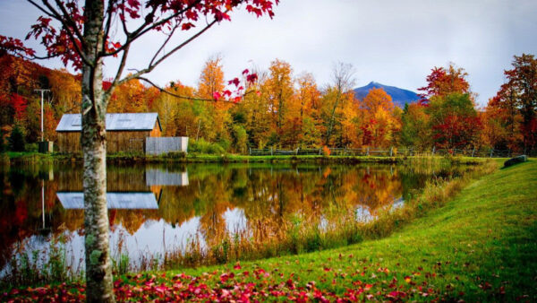 Wallpaper Trees, White, Fall, Reflection, Surrounded, Under, Background, Sky, Autumn, Lake, Mountain, Water