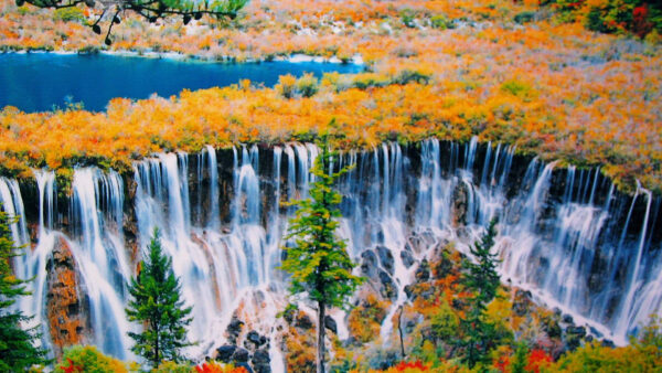 Wallpaper View, Autumn, Waterfalls, Nature, Aerial, Trees, Multiple, Colorful, Fall