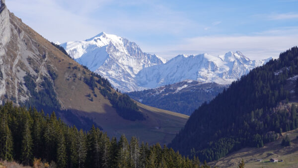 Wallpaper Mobile, View, Trees, Blue, Sky, Slope, Covered, Mountains, Snow, Spruce, Background, Landscape, Desktop, Green