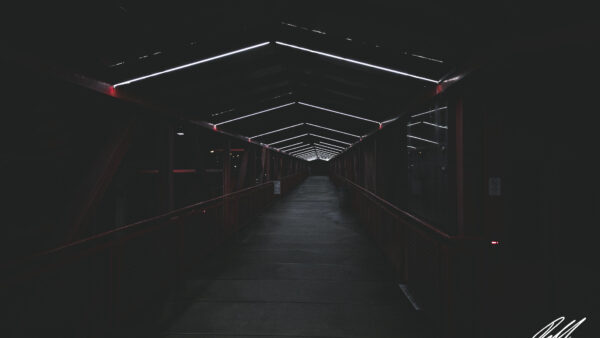 Wallpaper Dark, Neon, Desktop, Background, Bridge, Roof