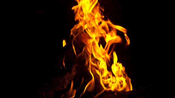 Wallpaper Desktop, Background, Flame, Mobile, Dark, Fire, Woods