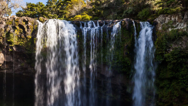 Wallpaper Trees, View, Nature, Rock, Beautiful, Landscape, From, River, Bushes, Sky, Background, Waterfall, Pouring